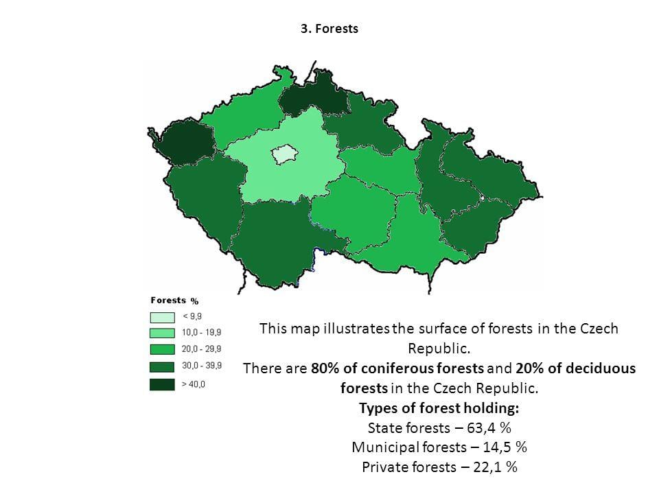 Czechia森林地図