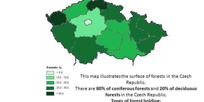 Czechia森林地図
